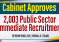 Cabinet Approves 2003 Public Sector immediate Recruitment