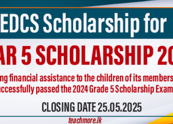 Applications Open for Year 5 Scholarship 2024 – Education Employees Cooperative Society (EDCS)