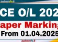 GCE O/L Examination 2024 Concludes; Paper Marking to Begin on April 1st, 2025