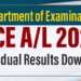 GCE A/L 2024 Individual Results Download: Step-by-Step Guide