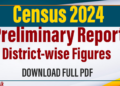 Census 2024 Preliminary Report