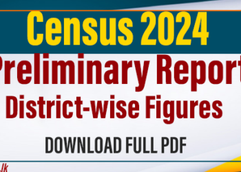 Census 2024 Preliminary Report