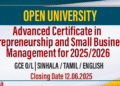 Advanced Certificate in Entrepreneurship and Small Business Management