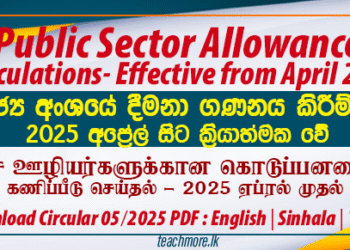Public Sector Allowance Calculations