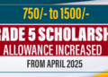 Grade 5 Scholarship Allowance