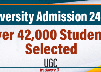 University Admissions for 2024/2025: Over 42,000 Students Selected
