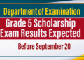 Grade 5 Scholarship Exam Results Expected Before September 20