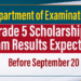 Grade 5 Scholarship Exam Results Expected Before September 20