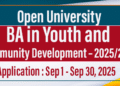 BA in Youth and Community Development – 2025/2026