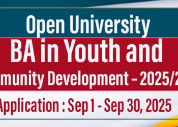 BA in Youth and Community Development – 2025/2026