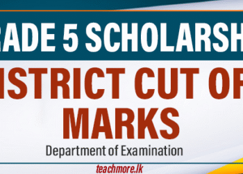District Cut Off Marks - Grade 5 Scholarship Exam