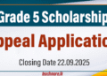 Grade 5 Scholarship Exam Re-Correction Application 2025
