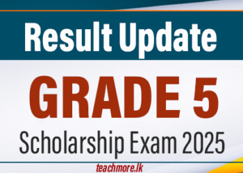 Grade 5 Scholarship Examination 2025 Results to Be Released Tonight