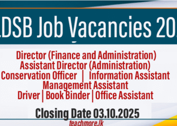 NLDSB Job Vacancies 2025