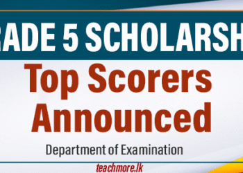2025 Grade 5 Scholarship Exam Results Released – Top Scorers Announced