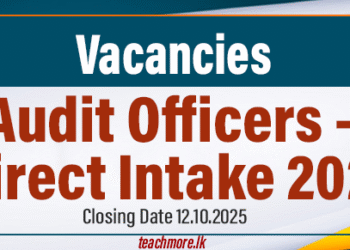 Audit Officers Application – Direct Intake 2025