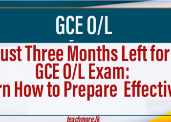 GCE O/L 2025: 3-Month Study Plan