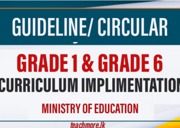 Major Curriculum Reforms for Grades 1 and 6 Announced for 2026