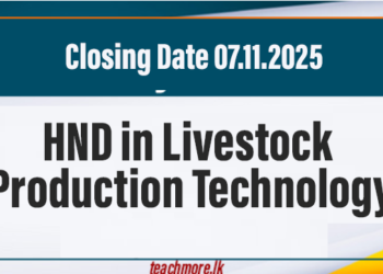 HND in Livestock Production Technology