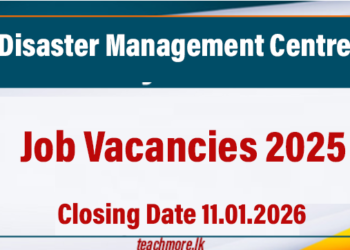 DMC Job Vacancies 2025