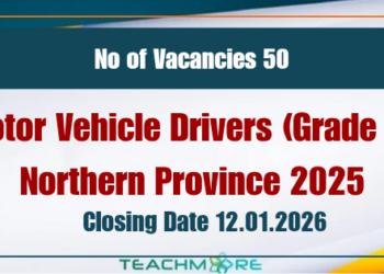 Motor Vehicle Drivers