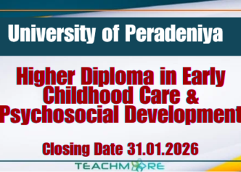 Higher Diploma in Early Childhood Care & Psychosocial Development