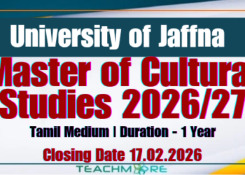 Master of Cultural Studies 2026