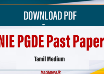 NIE PGDE Past Papers