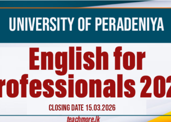 English for Professionals