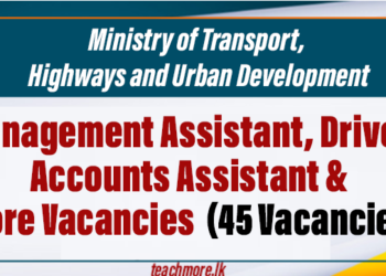 Management Assistant, Driver, Accounts Assistant & More Vacancies – Ministry of Transport, Highways and Urban Development