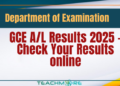 Check A/L Results 2025 online