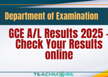 Check A/L Results 2025 online