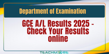 Check A/L Results 2025 online