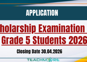 Grade 5 Scholarship Exam 2026: Online Applications Open