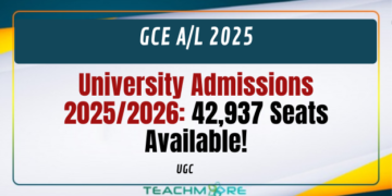 University Admissions 2025/2026