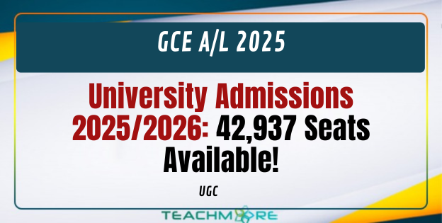 University Admissions 2025/2026