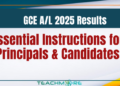 GCE A/L 2025 Results Released: Essential Instructions for Principals and Candidates