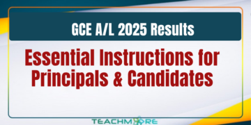 GCE A/L 2025 Results Released: Essential Instructions for Principals and Candidates