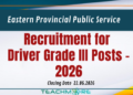 Driver Grade III Posts