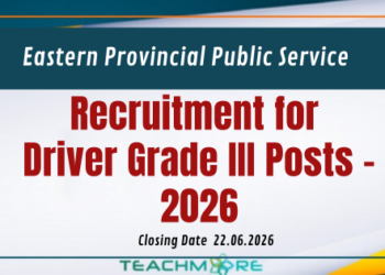 Driver Grade III Posts