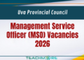 Management Service Officer Vacancies 2026