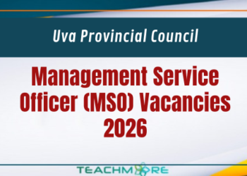 Management Service Officer Vacancies 2026