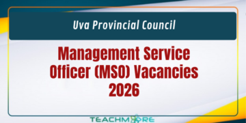 Management Service Officer Vacancies 2026