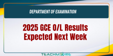 2025 GCE O/L Results Expected Next Week