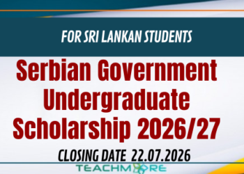 Serbian Government Undergraduate Scholarship 2026