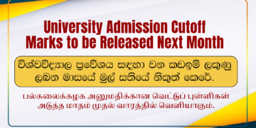 University Admission Cutoff Marks to be Released Next Month