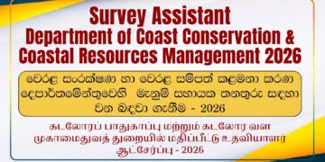 https://1teachmore.lk/survey-assistant-vacancies/