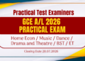 Practical Test Examiners: G.C.E. Advanced Level 2026