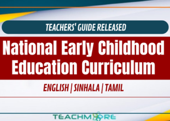 National Early Childhood Education Curriculum Framework
